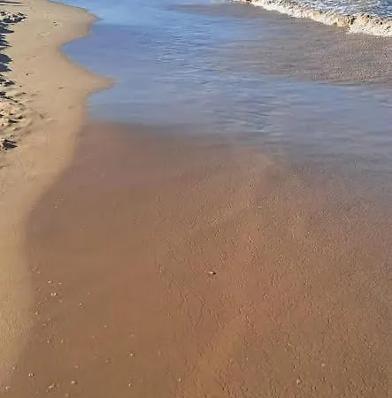דירה X טורבייחה